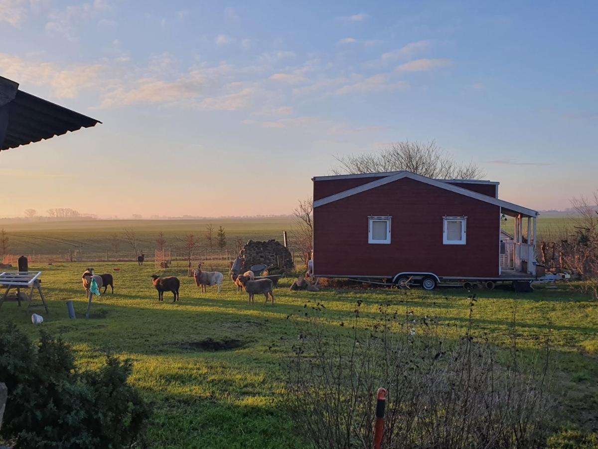 Tiny House Villa Schonbeck  Eksteriør bilde